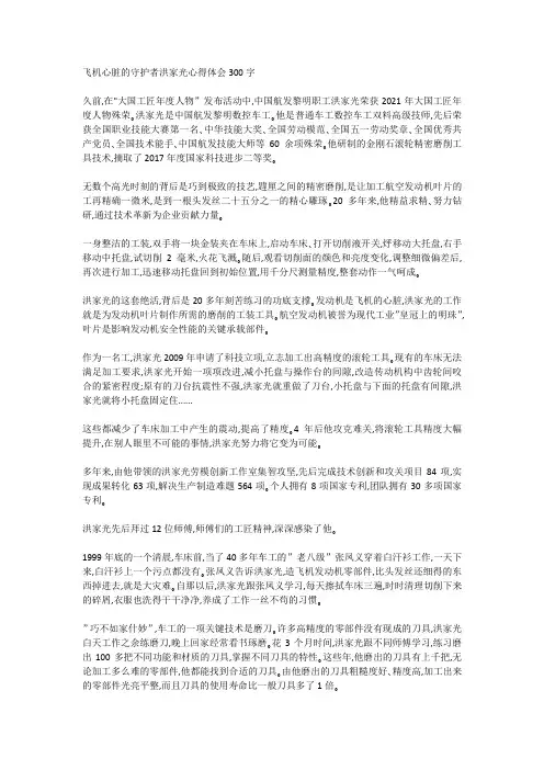 飞机心脏的守护者洪家光心得体会300字