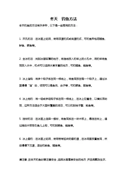 冬天  钓鱼方法