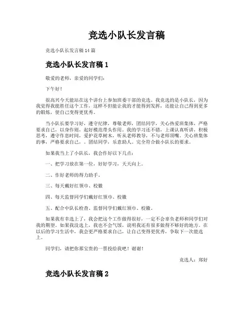 竞选小队长发言稿