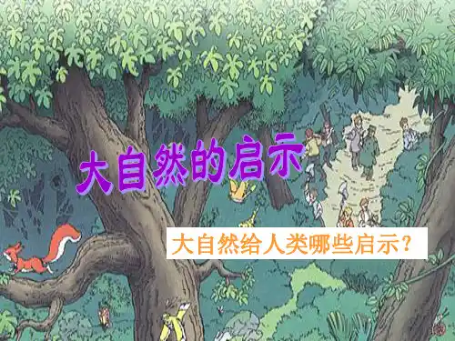 12大自然的启示ppt课件