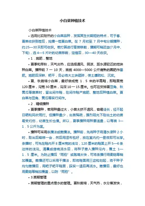 小白菜种植技术