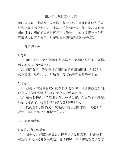 组织建设运行工作方案