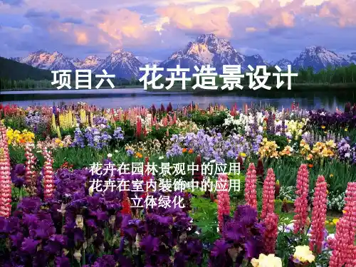 花卉造景设计