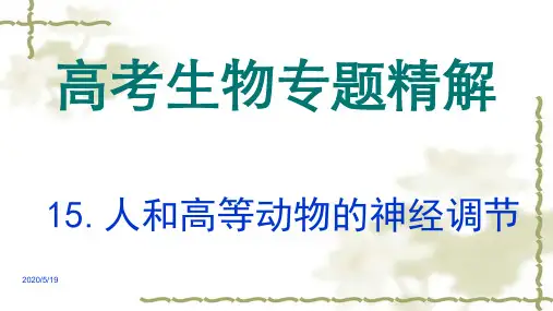 高考生物专题精讲ppt课件(15)人和高等动物的神经调节(共38张)