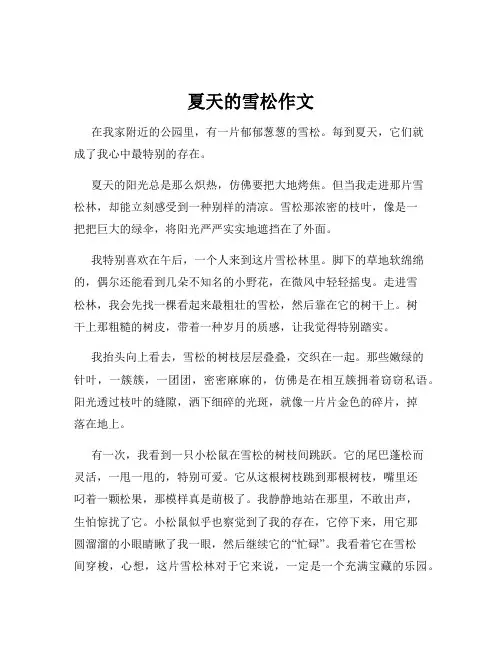 夏天的雪松作文