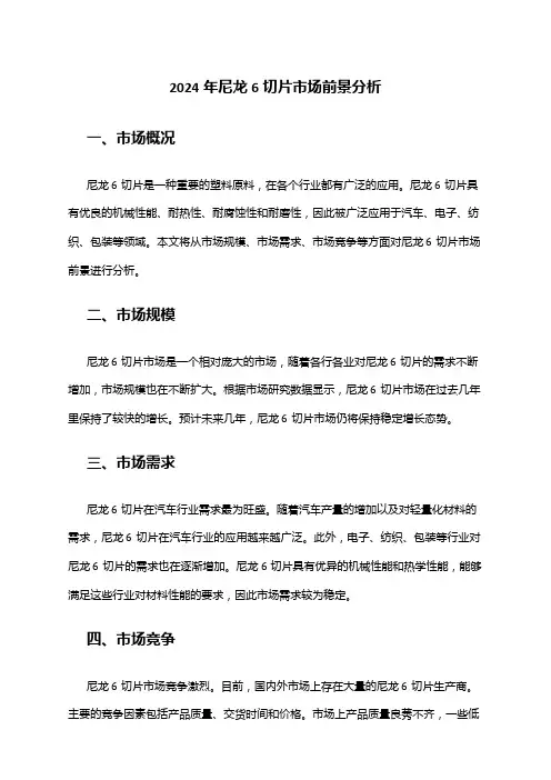 2024年尼龙6切片市场前景分析