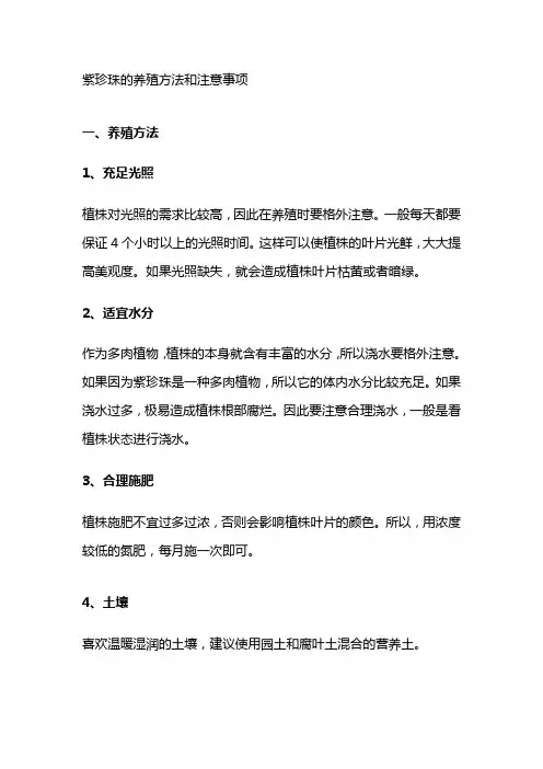 紫珍珠的养殖方法和注意事项