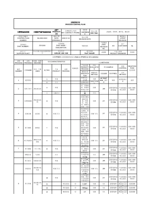 12163过程控制计划(1)