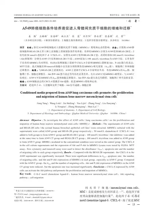 A549肺癌细胞条件培养液促进人骨髓间充质干细胞的增殖和迁移