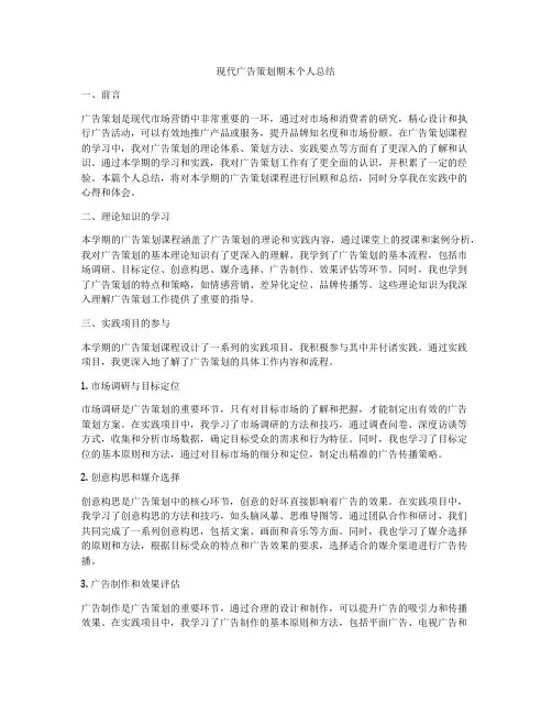 现代广告策划期末个人总结