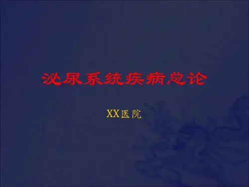 肾脏的解剖生理机制