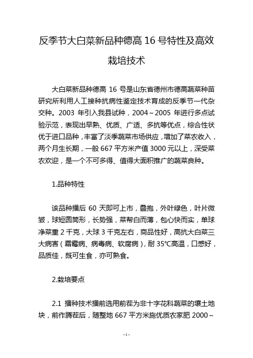 反季节大白菜新品种德高16号特性及高效栽培技术