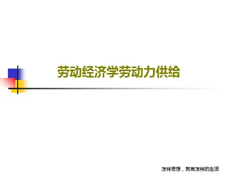 劳动经济学劳动力供给17页PPT
