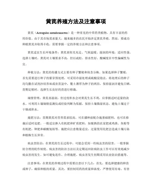 黄芪养殖方法及注意事项