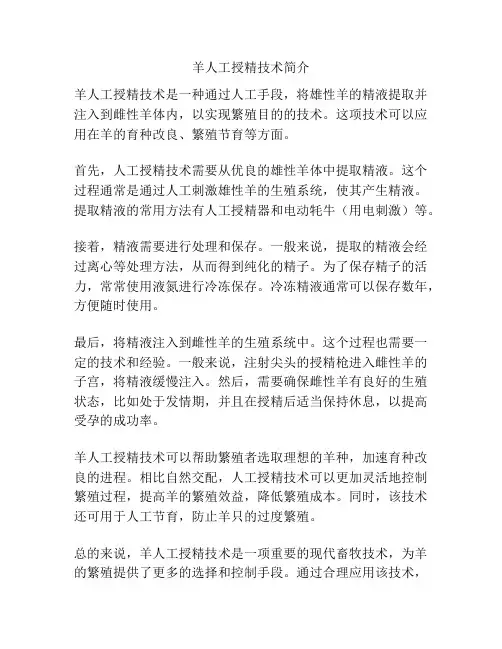 羊人工授精技术简介