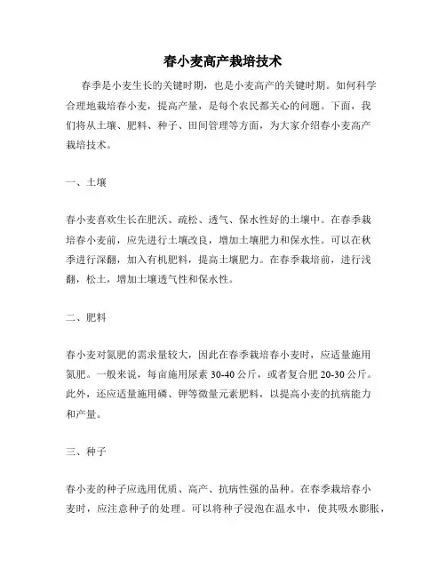 春小麦高产栽培技术