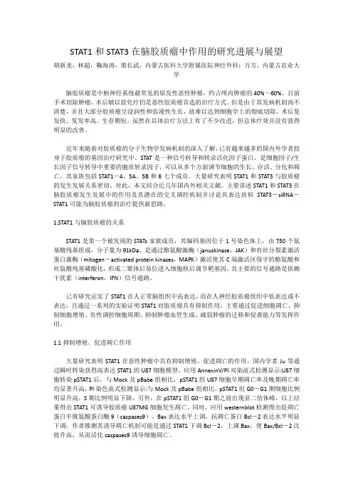STAT1和STAT3在脑胶质瘤中作用的研究进展与展望