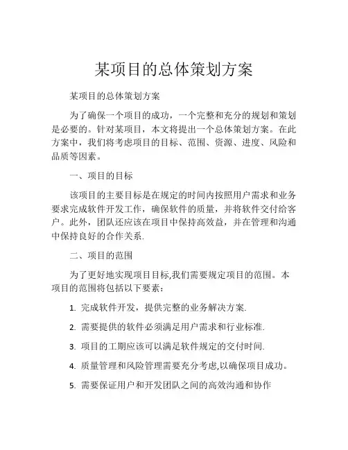 某项目的总体策划方案