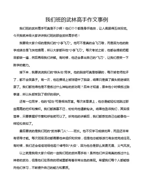 我们班的武林高手作文事例