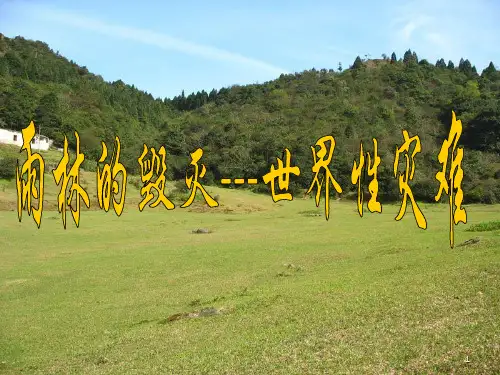 课《雨林的毁灭——世界性灾难》