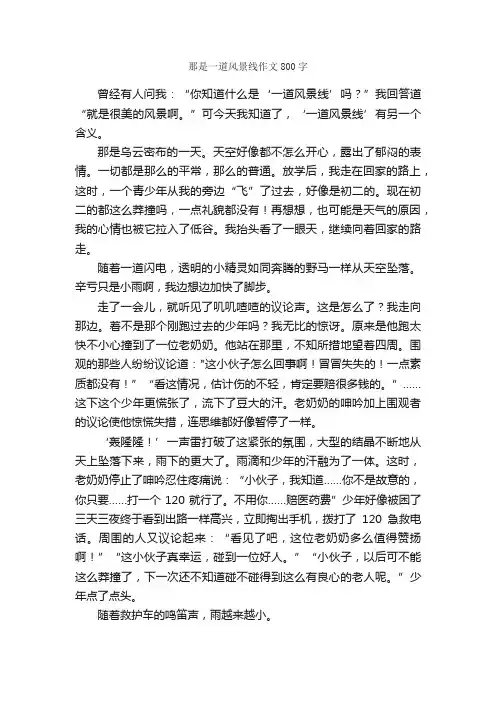 那是一道风景线作文800字_中考作文_