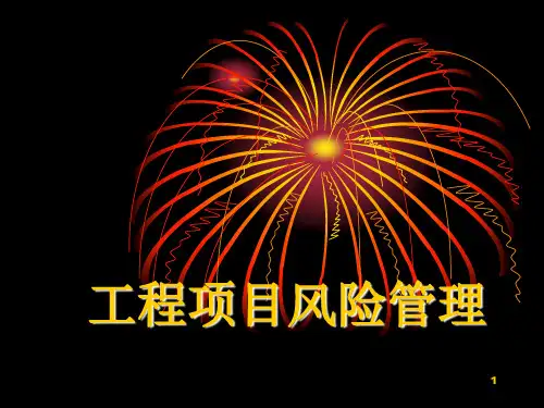 工程项目风险管理培训ppt课件