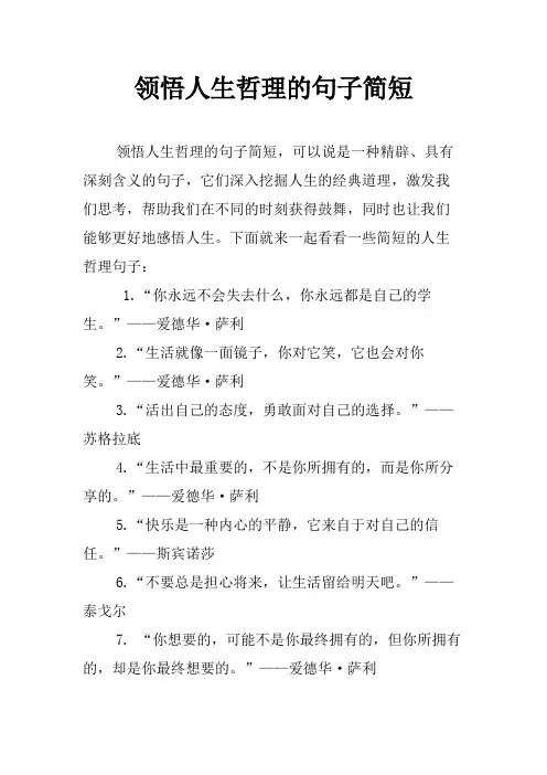 领悟人生哲理的句子简短