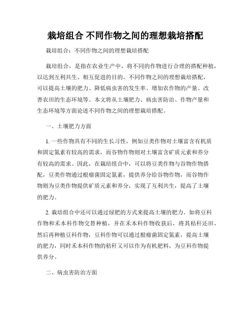 栽培组合 不同作物之间的理想栽培搭配