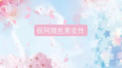 视网膜色素变性PPT课件