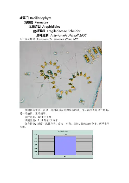 硅藻门 Bacillariophyta