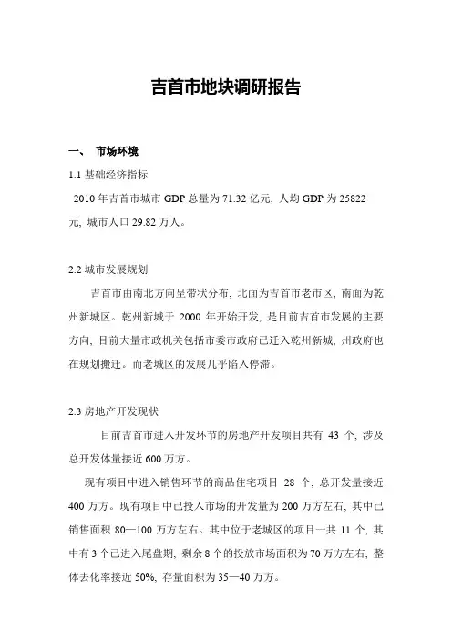 吉首市地块调研报告
