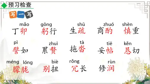 《叶圣陶先生二三事》ppt课件