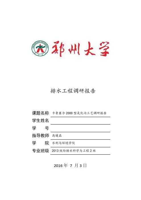 排水工程调研报告卡鲁塞尔2000型氧化沟