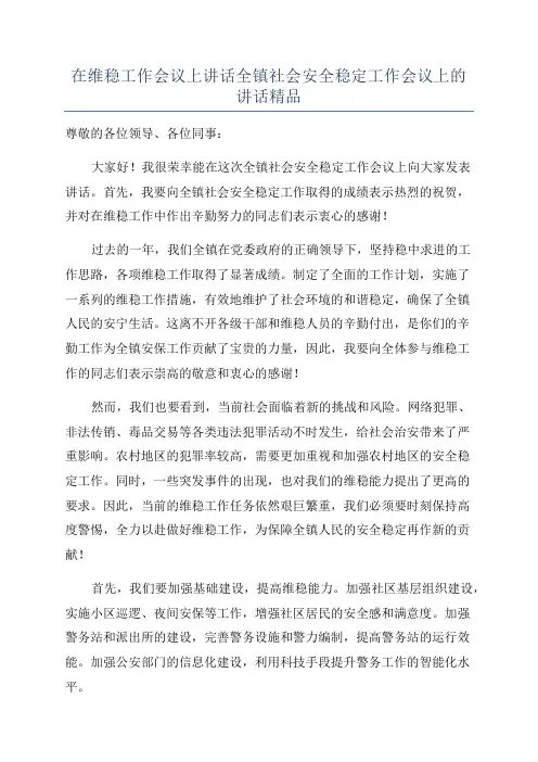 在维稳工作会议上讲话全镇社会安全稳定工作会议上的讲话精品