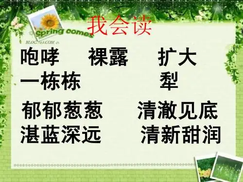一个小村庄的故事课件