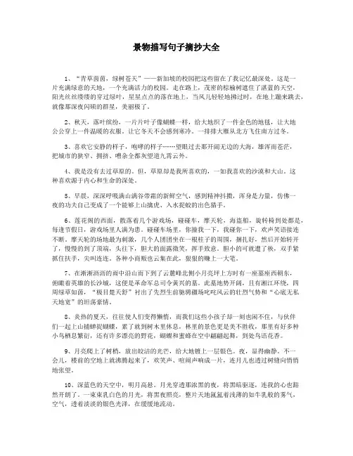 景物描写句子摘抄大全