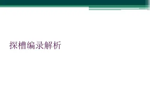 探槽编录解析
