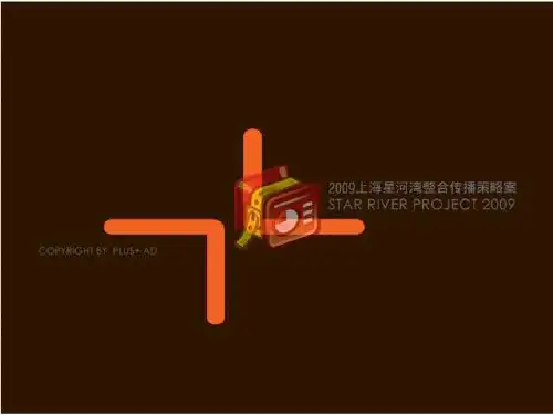 上海星河湾房地产项目整合营销传播策略提案_117页