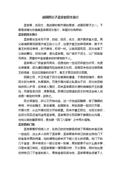 战国四公子孟尝君田文简介