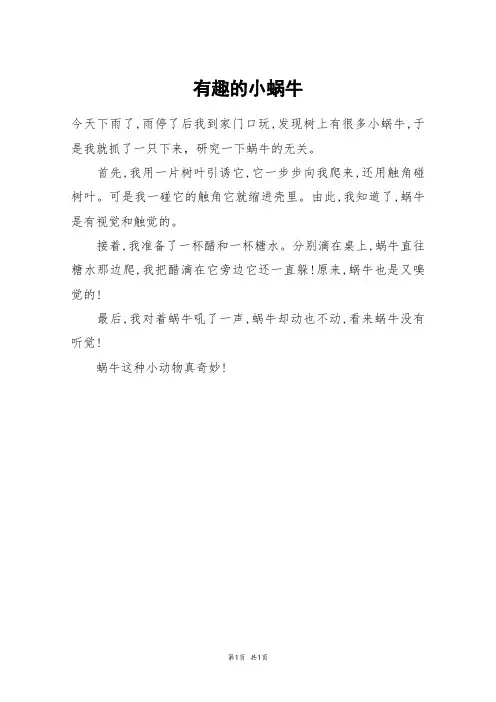 有趣的小蜗牛_二年级作文