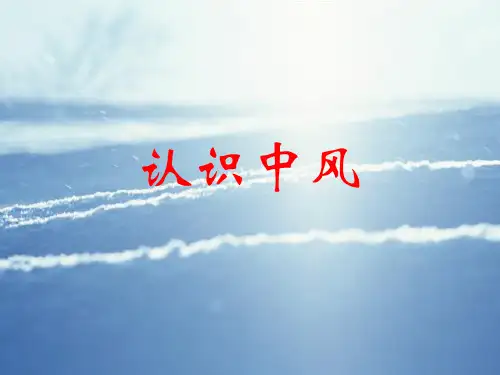 中风PPT课件