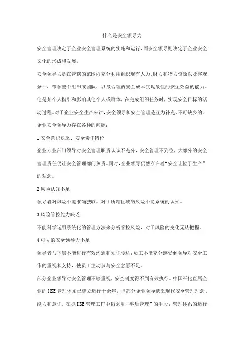 什么是安全领导力