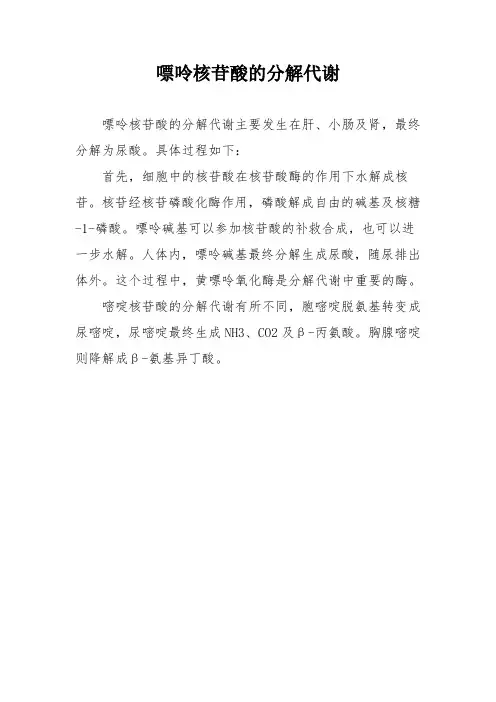 嘌呤核苷酸的分解代谢