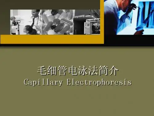 毛细管电泳法-2012
