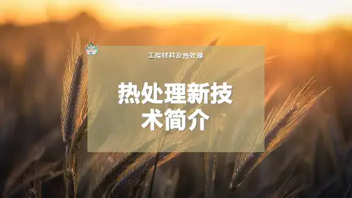 热处理新技术简介