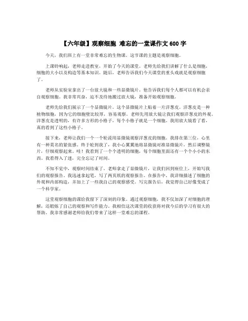 【六年级】观察细胞 难忘的一堂课作文600字