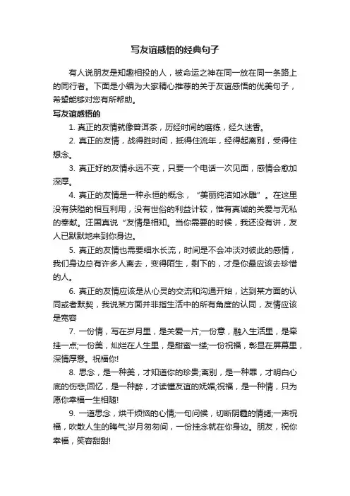 写友谊感悟的经典句子