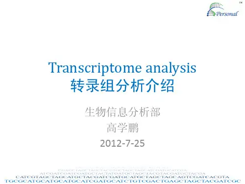 转录组分析