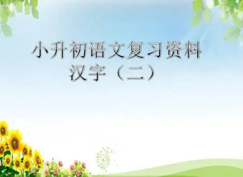小升初语文专项复习  汉字