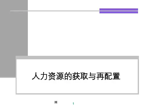 《人力资源管理概论》彭剑锋(人民大学版)_6
